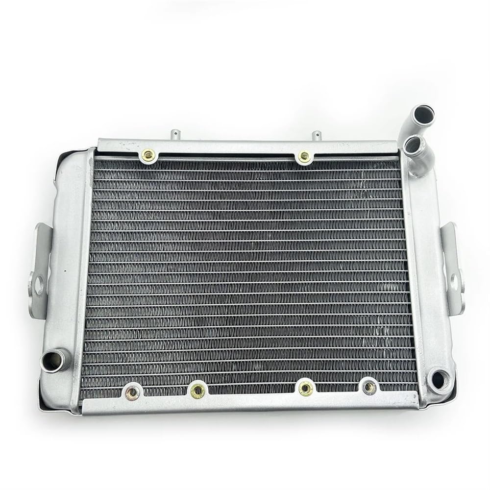 Wasserkühler-Kühlsystem, kompatibel mit LINHAI 300 ATV, Linhai LH300 CUV 4WD Wasserkühler-Kühlsystem, kompatibel mit LINHAI 300 ATV, Linhai LH300 CUV 4WD von EGRMZ