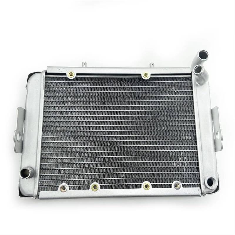 Wasserkühler-Kühlsystem, kompatibel mit LINHAI 300 ATV, Linhai LH300 CUV 4WD von EGRMZ