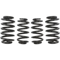 Fahrwerksfeder EIBACH Pro-Kit E10-15-003-10-22 Fahrwerksfeder EIBACH Pro-Kit E10-15-003-10-22 von Eibach