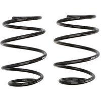 Fahrwerksfeder EIBACH Pro-Kit E10-20-011-04-20 Fahrwerksfeder EIBACH Pro-Kit E10-20-011-04-20 von Eibach