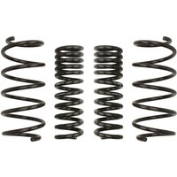 Fahrwerksfeder EIBACH Pro-Kit E10-25-019-02-22 von Eibach