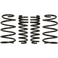 Fahrwerksfeder EIBACH Pro-Kit E10-82-016-06-22 Fahrwerksfeder EIBACH Pro-Kit E10-82-016-06-22 von Eibach
