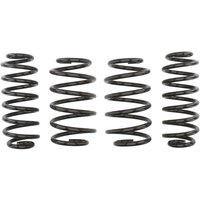 Fahrwerksfeder EIBACH Pro-Kit E10-85-022-01-22 von Eibach