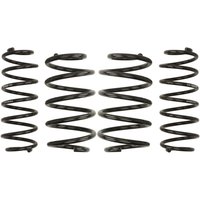 Fahrwerksfeder EIBACH Pro-Kit E10-85-024-02-22 Fahrwerksfeder EIBACH Pro-Kit E10-85-024-02-22 von Eibach
