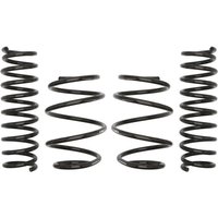 Federn EIBACH Pro Kit E2053-140 Federn EIBACH Pro Kit E2053-140 von Eibach