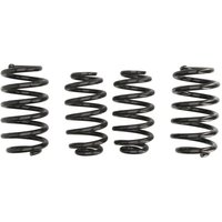 Fahrwerksfeder EIBACH Pro-Kit E10-81-011-04-22 Fahrwerksfeder EIBACH Pro-Kit E10-81-011-04-22 von Eibach