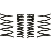 Fahrwerksfeder EIBACH Pro-Kit E10-25-001-02-22 Fahrwerksfeder EIBACH Pro-Kit E10-25-001-02-22 von Eibach