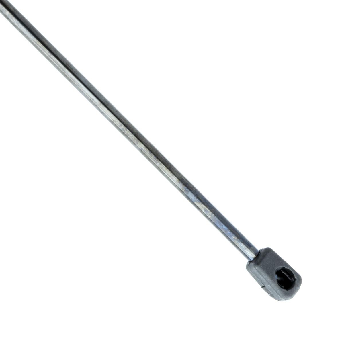 EINPARTS Heckklappendämpfer FIAT EP9140GS 46770621,46810696,46824070 51824094 EINPARTS Heckklappendämpfer FIAT EP9140GS 46770621,46810696,46824070 51824094 von EINPARTS