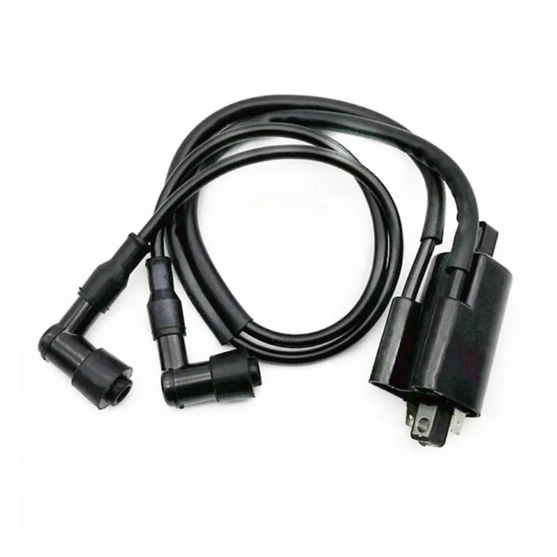 Ignition Module Für Banshee 350 Für YFZ350 1997-2006 Motorrad Leistung Teile Zündspule Zünden System Einheit Ersatz Zündung Gerät von ELEKNZBZTG