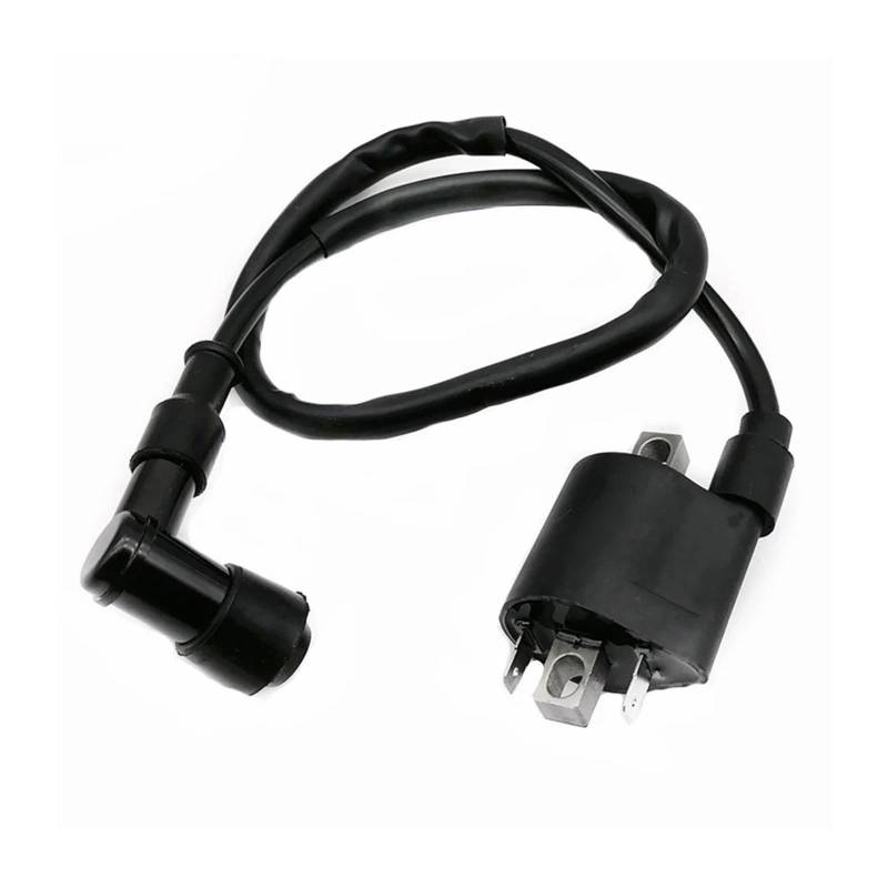 Ignition Module Für CBF125 Für CB CBR Für CR 125 Für CR 250 500 Für CRF450 Für TRX 650 700 Motorrad-Leistungsteile Zündspule Zündsystem von ELEKNZBZTG