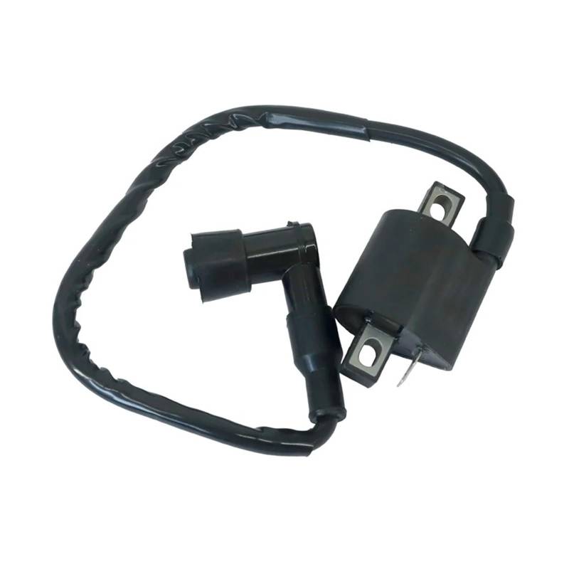Ignition Module Für Grizzly 660 Für YFM660 Für YFM 350 2002 2003 2004 2005 Für Bär Für Tracker Für ATV Zubehör Motorrad Zündspule von ELEKNZBZTG