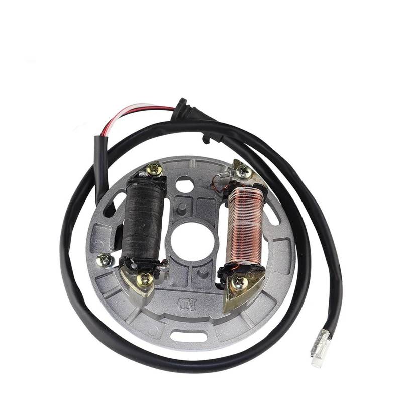 Ignition Module Für Kawasaki Für KFX 80 2003-06 Für Suzuki Für LT80 Für LT 80 Für Quadsport 80 1987-2006 21003-S005 Motorradspule Zündmagneto Statorplatte von ELEKNZBZTG