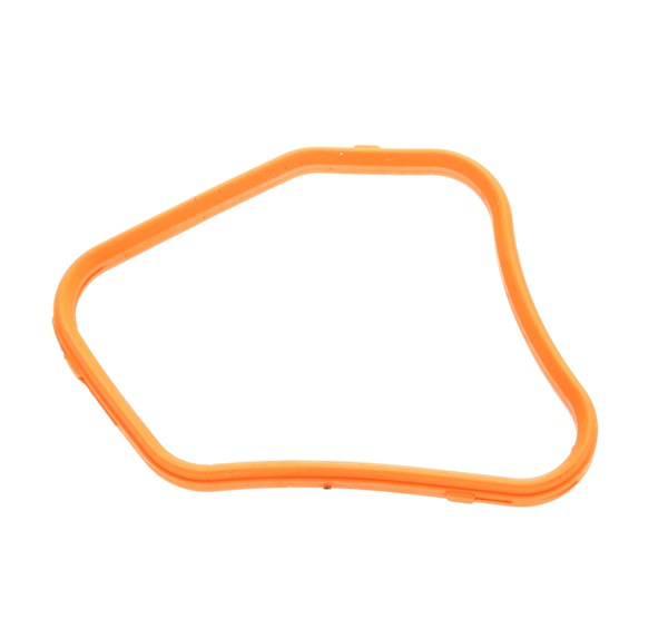 ELRING Dichtung, Kühlmittelrohr BMW 457.480 11537505806 ELRING Dichtung, Kühlmittelrohr BMW 457.480 11537505806 von ELRING