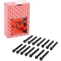 ELRING Zylinderkopfschraubensatz Außen-Torx 802.740 BMW,WIESMANN,5 Limousine (E39),3 Touring (E46),3 Cabrio (E36),3 Limousine (E36),Z3 Roadster (E36) ELRING Zylinderkopfschraubensatz Außen-Torx 802.740 BMW,WIESMANN,5 Limousine (E39),3 Touring (E46),3 Cabrio (E36),3 Limousine (E36),Z3 Roadster (E36) von ELRING