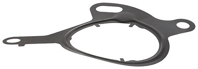 Elring Dichtung, Unterdruckpumpe [Hersteller-Nr. 767.120] für Ford, Volvo von ELRING
