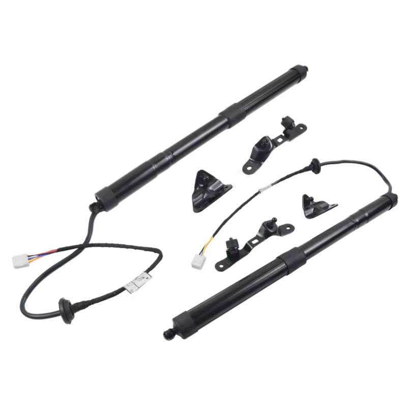 ENGOER Kompatibel Mit Toyota Für RAV4 2013 2014 2015 2016 2017 2018. Paar Heckklappen-Heckklappen-Hebeunterstützung. OEM: 6891009010 6892049055.(Rear Left Tailgate) von ENGOER