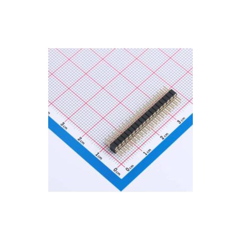(2 Stück) XDZ200C-2-18-Z-2.8-G1 P = 2 mm von ENHVNYZA
