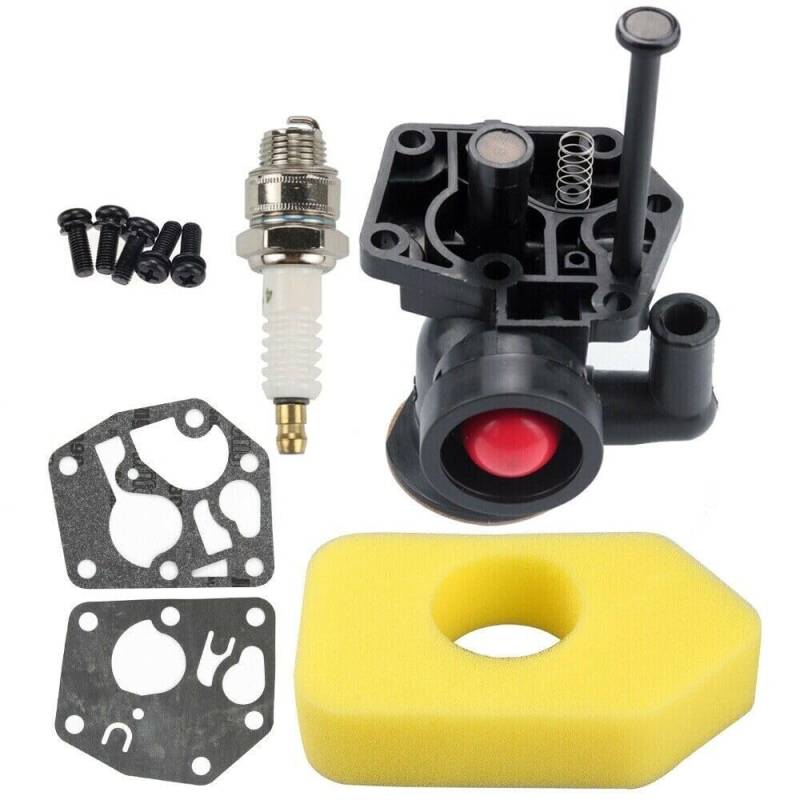 Vergaser für Briggs & Stratton 498809 498809A 3-3,75 PS 497619 von EOQIFJM