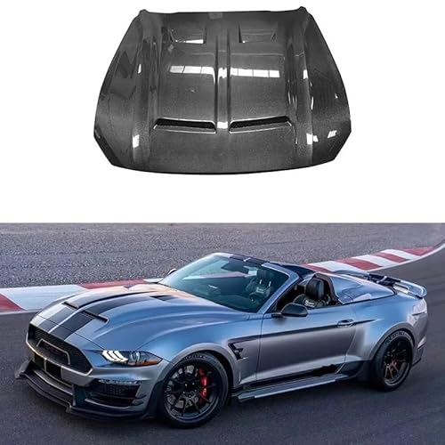 Auto-Frontstoßstange, Lufteinlass, Entlüftungshaube, Zubehör, kompatibel mit Ford Mustang 2018–2021, Carbonfaser-Motorhaubenabdeckung, Body Kit(Carbon Fiber) von EPNYWJTE