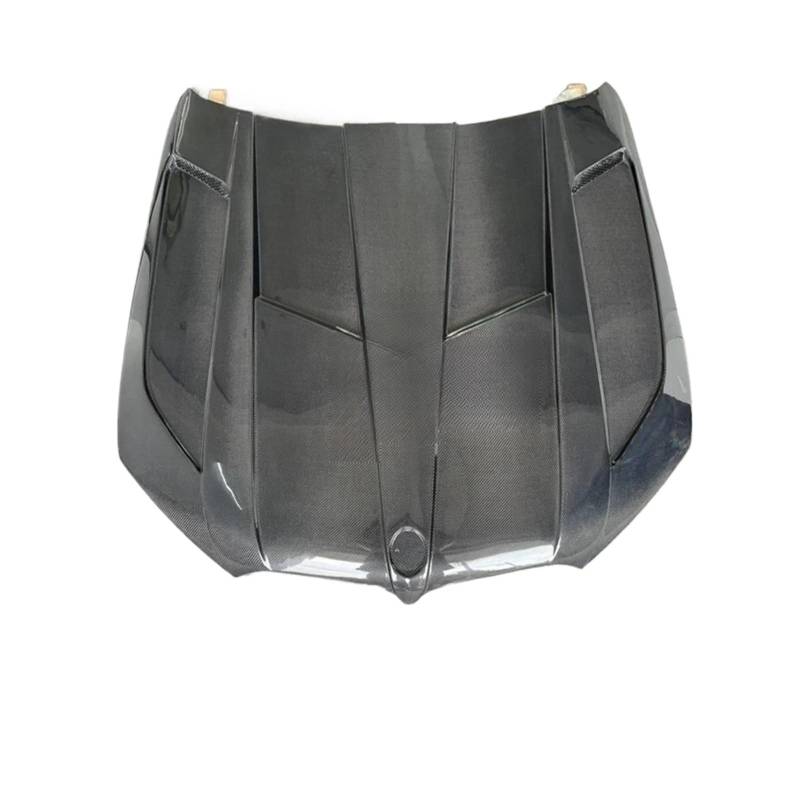 LD Style Kohlefaser-Faser-Fronthaube, Motorhaube, Motorabdeckung, kompatibel for X5 G05 X6 G06(One side carbon) von EPNYWJTE