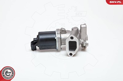 Esen Skv AGR-Ventil [Hersteller-Nr. 14SKV014] für Fiat, Lancia, Opel, Suzuki, Vauxhall von ESEN SKV