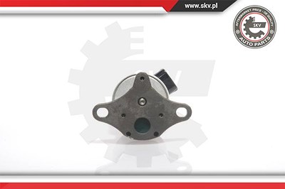 Esen Skv AGR-Ventil [Hersteller-Nr. 14SKV017] für Fiat, Peugeot von ESEN SKV