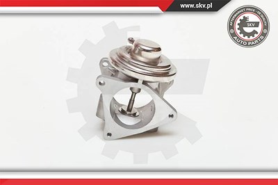 Esen Skv AGR-Ventil [Hersteller-Nr. 14SKV019] für Audi, Seat, Skoda, VW von ESEN SKV