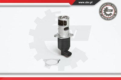 Esen Skv AGR-Ventil [Hersteller-Nr. 14SKV032] für Nissan, Opel, Renault von ESEN SKV