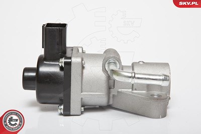 Esen Skv AGR-Ventil [Hersteller-Nr. 14SKV047] für Ford, Mazda, Volvo von ESEN SKV