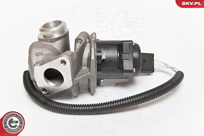 Esen Skv AGR-Ventil [Hersteller-Nr. 14SKV067] für Ford, Volvo von ESEN SKV