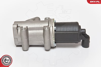 Esen Skv AGR-Ventil [Hersteller-Nr. 14SKV076] für Alfa Romeo, Fiat, Lancia von ESEN SKV