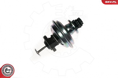 Esen Skv AGR-Ventil [Hersteller-Nr. 14SKV078] für BMW, Mini von ESEN SKV