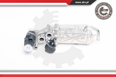 Esen Skv AGR-Ventil [Hersteller-Nr. 14SKV094] für Audi, Seat, Skoda, VW von ESEN SKV