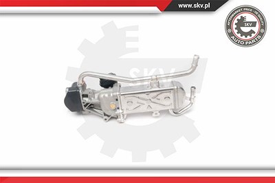 Esen Skv AGR-Ventil [Hersteller-Nr. 14SKV095] für Audi, Seat, Skoda, VW von ESEN SKV