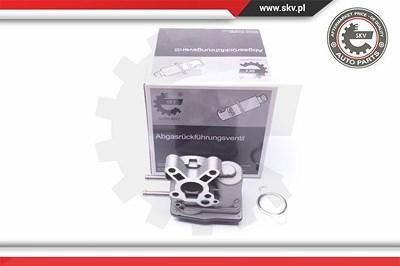 Esen Skv AGR-Ventil [Hersteller-Nr. 14SKV103] für Nissan von ESEN SKV