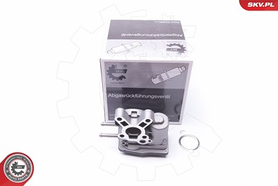 Esen Skv AGR-Ventil [Hersteller-Nr. 14SKV103] für Nissan von ESEN SKV