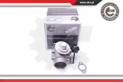 Esen Skv AGR-Ventil [Hersteller-Nr. 14SKV106] für VW von ESEN SKV
