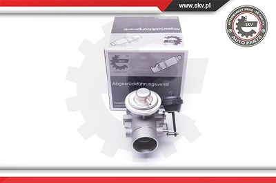 Esen Skv AGR-Ventil [Hersteller-Nr. 14SKV107] für VW von ESEN SKV
