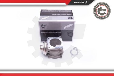 Esen Skv AGR-Ventil [Hersteller-Nr. 14SKV108] für VW von ESEN SKV