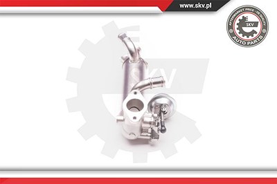 Esen Skv AGR-Ventil [Hersteller-Nr. 14SKV119] für VW von ESEN SKV