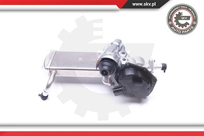 Esen Skv AGR-Ventil [Hersteller-Nr. 14SKV152] für Audi von ESEN SKV