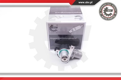 Esen Skv AGR-Ventil [Hersteller-Nr. 14SKV163] für Dacia, Nissan, Renault von ESEN SKV