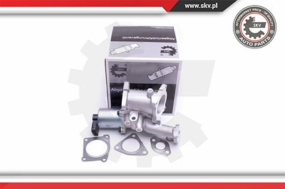 Esen Skv AGR-Ventil [Hersteller-Nr. 14SKV166] für Opel von ESEN SKV