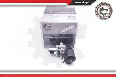 Esen Skv AGR-Ventil [Hersteller-Nr. 14SKV169] für BMW von ESEN SKV