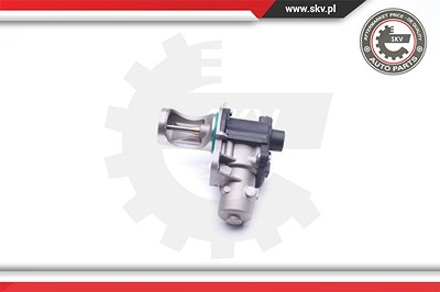 Esen Skv AGR-Ventil [Hersteller-Nr. 14SKV172] für Audi, Skoda, VW von ESEN SKV