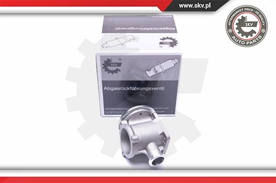Esen Skv AGR-Ventil [Hersteller-Nr. 14SKV177] für BMW von ESEN SKV