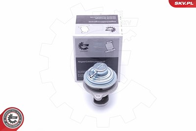 Esen Skv AGR-Ventil [Hersteller-Nr. 14SKV182] für Mitsubishi, Smart von ESEN SKV