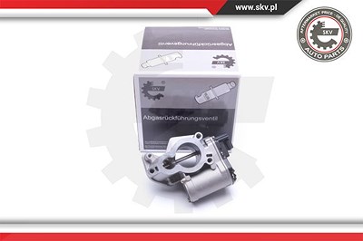 Esen Skv AGR-Ventil [Hersteller-Nr. 14SKV184] für Nissan, Opel, Renault von ESEN SKV