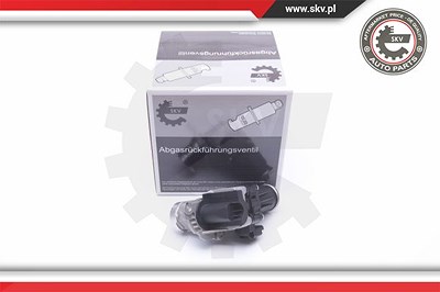 Esen Skv AGR-Ventil [Hersteller-Nr. 14SKV185] für Citroën, Ford, Peugeot, Volvo von ESEN SKV