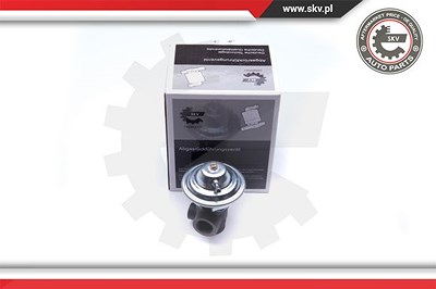 Esen Skv AGR-Ventil [Hersteller-Nr. 14SKV187] für Volvo von ESEN SKV